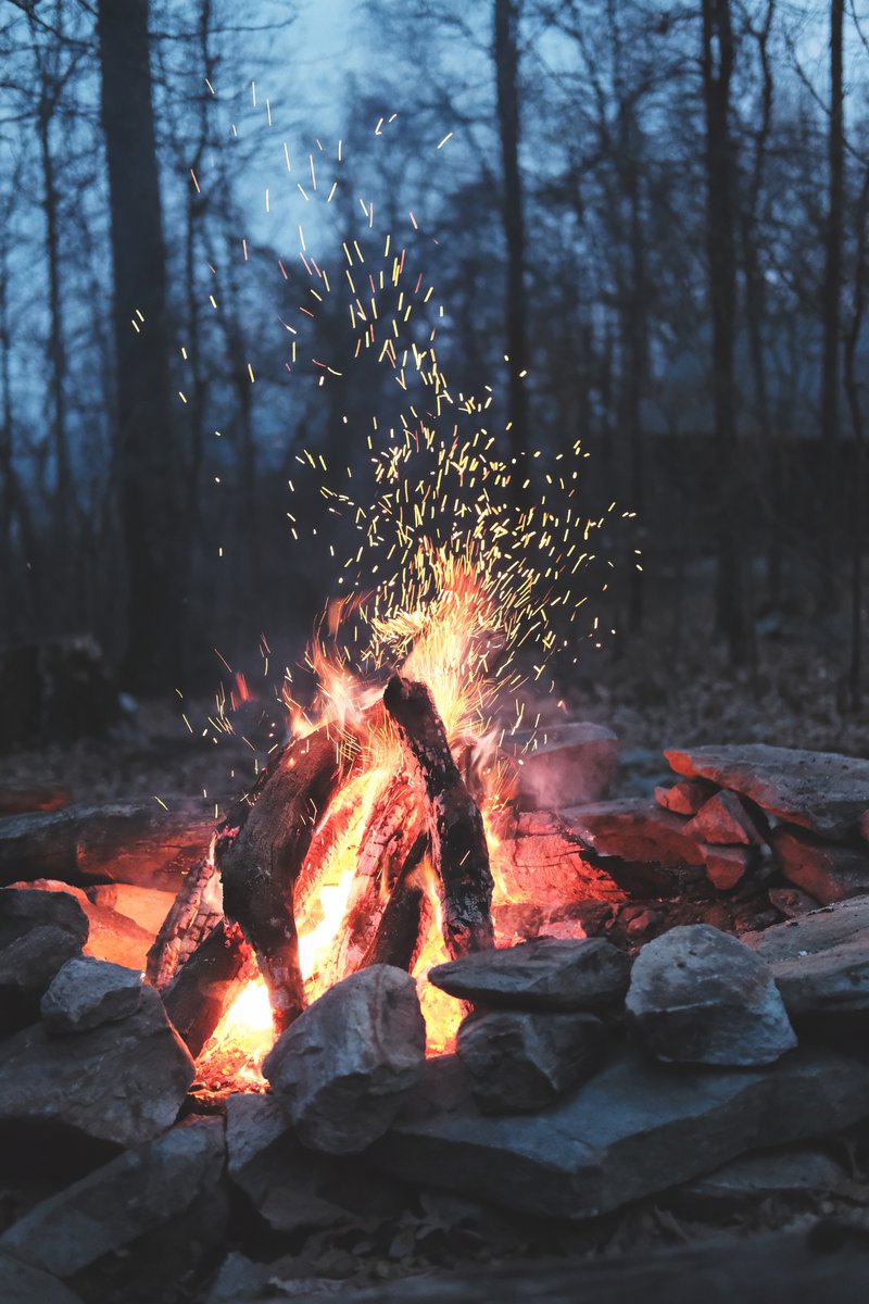 Photo by Timothy Meinberg on Unsplash