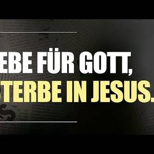 Apokalypse - Warum alles besser wird - David Krohn