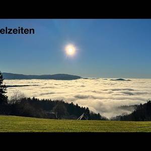Nebelzeiten - Stefan Vatter